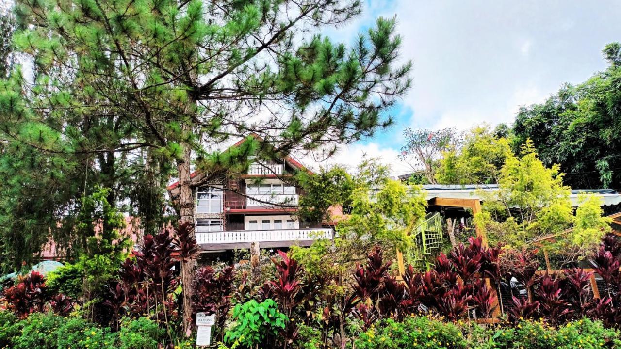 Log Cabin Hotel - Safari Lodge Baguio Baguio City Eksteriør billede