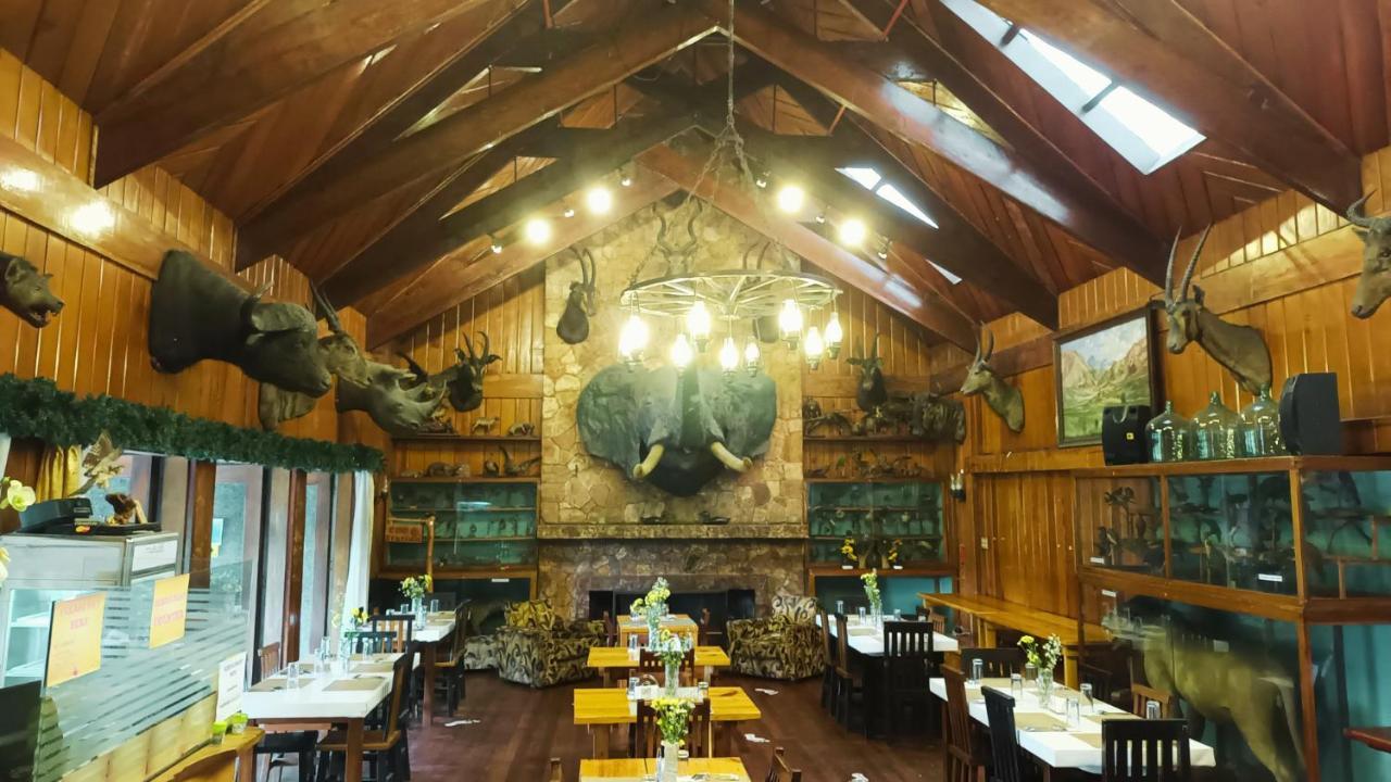 Log Cabin Hotel - Safari Lodge Baguio Baguio City Eksteriør billede