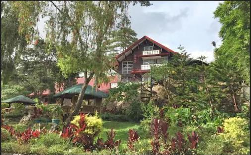 Log Cabin Hotel - Safari Lodge Baguio Baguio City Eksteriør billede