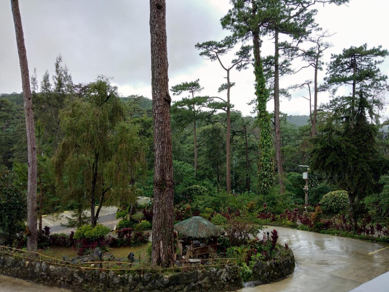 Log Cabin Hotel - Safari Lodge Baguio Baguio City Eksteriør billede