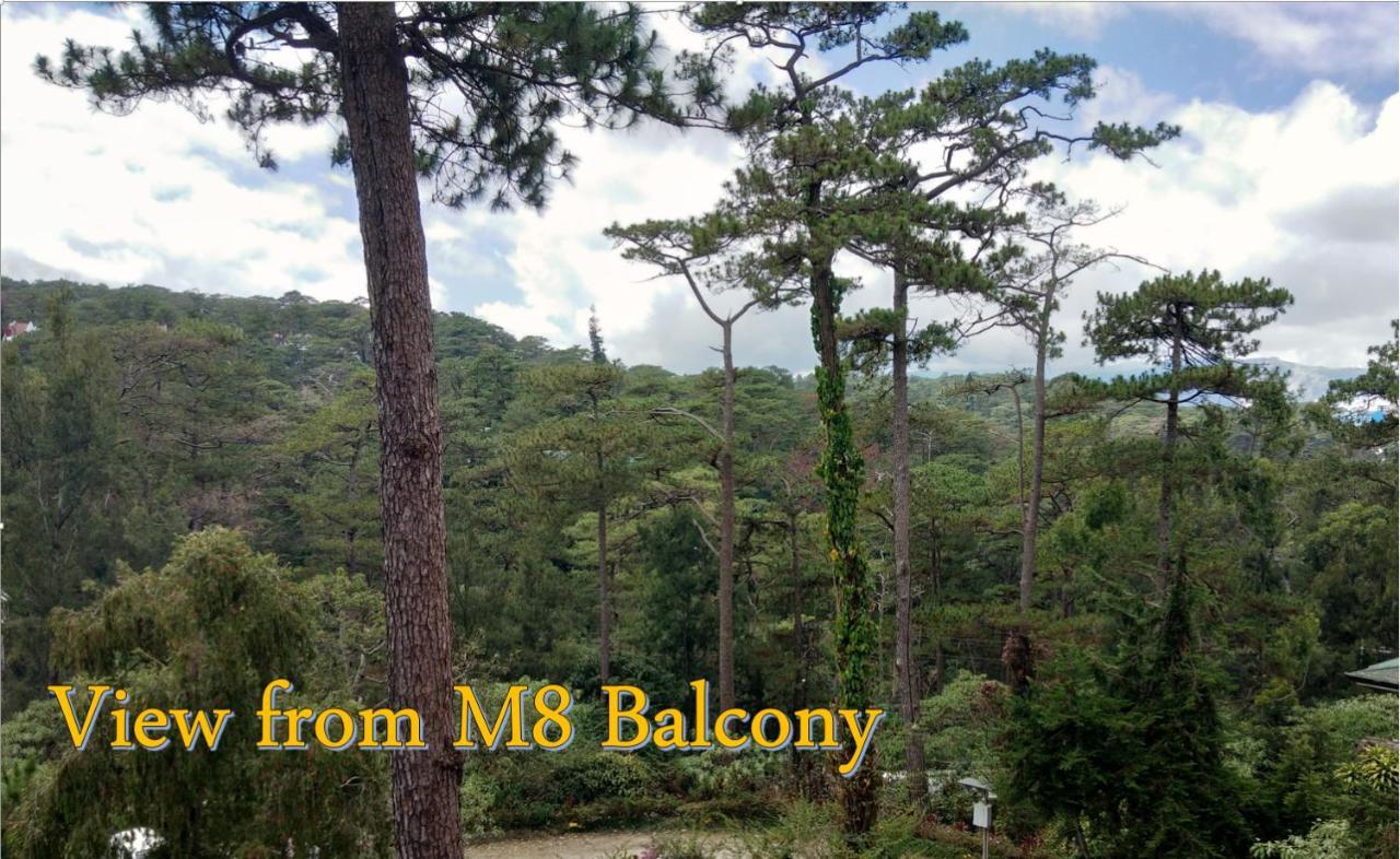 Log Cabin Hotel - Safari Lodge Baguio Baguio City Eksteriør billede