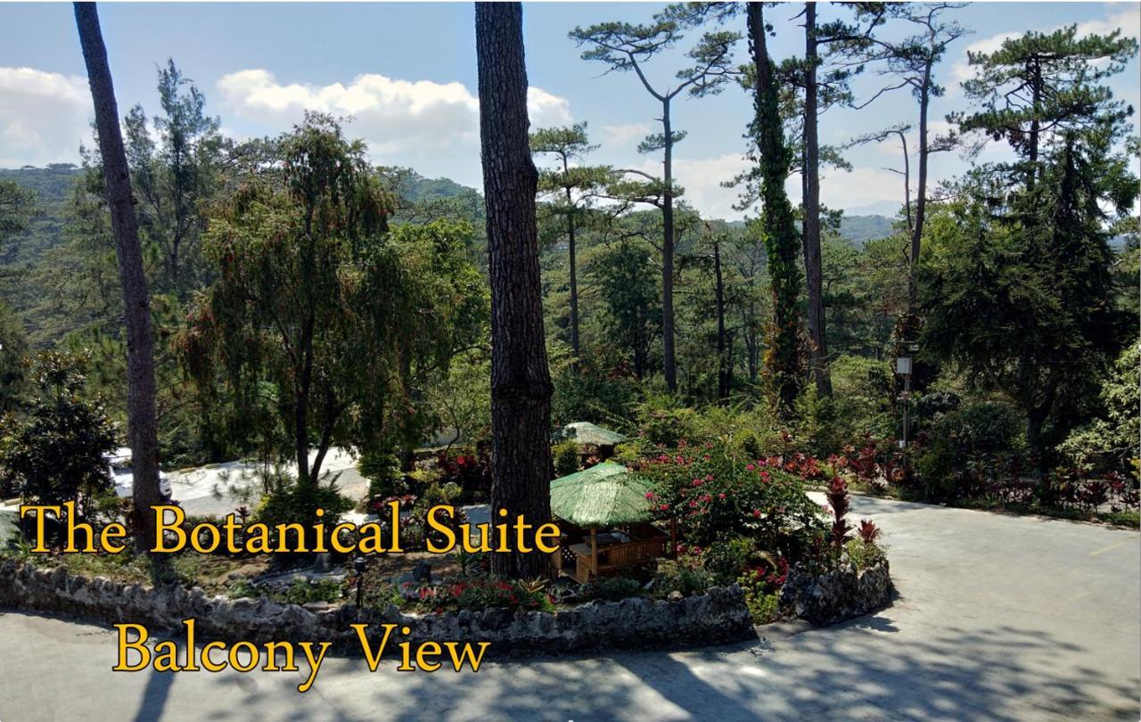 Log Cabin Hotel - Safari Lodge Baguio Baguio City Eksteriør billede